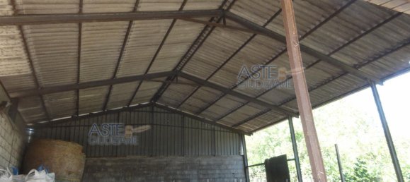  عقار تجاري في Colleferro, Italy 12530متر مربع رقم 203032 25