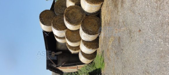  عقار تجاري في Colleferro, Italy 12530متر مربع رقم 203032 13