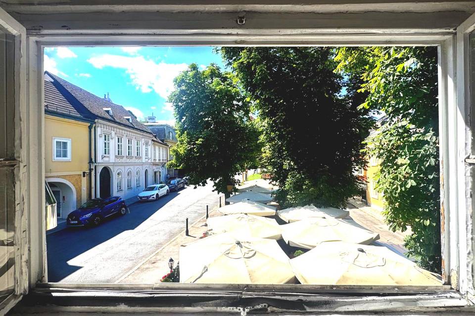 1 Schlafzimmer Gewerbliche Immobilie in Döbling, Austria, Nr. 81671