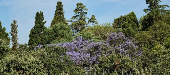 3 bedrooms Duplex in Lisbon, Portugal No. 105228 38