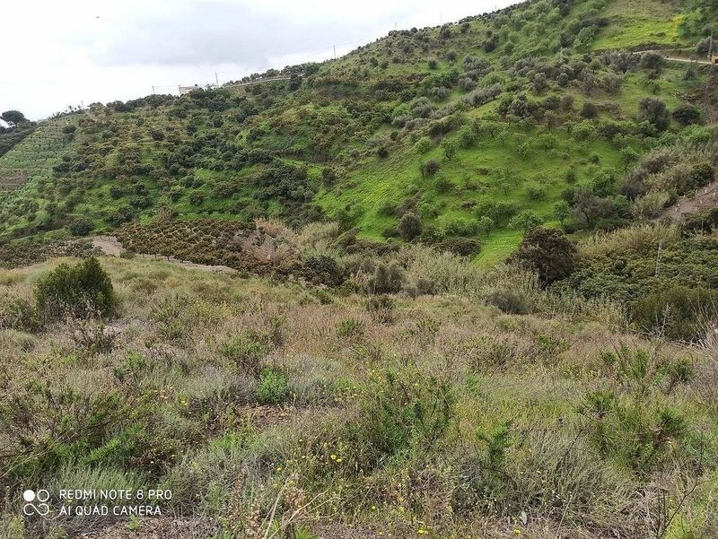 Grundstück in Benamocarra, Spain 5000m², Nr. 223774