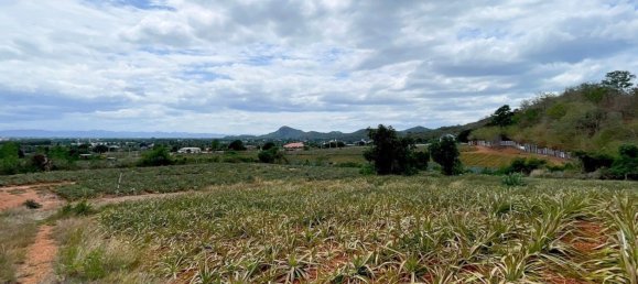  Commercial property in Hua Hin, Thailand No. 7779 7