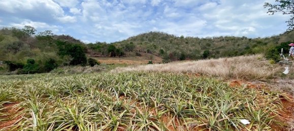  Commercial property in Hua Hin, Thailand No. 7779 6