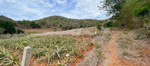  Commercial property in Hua Hin, Thailand No. 7779 8