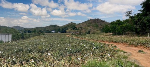  Commercial property in Hua Hin, Thailand No. 7779 4