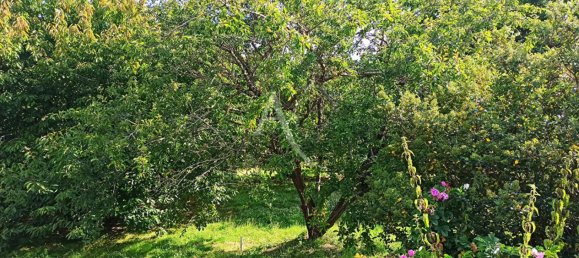 Terreno en Saint-Aignan, France No. 254134 3