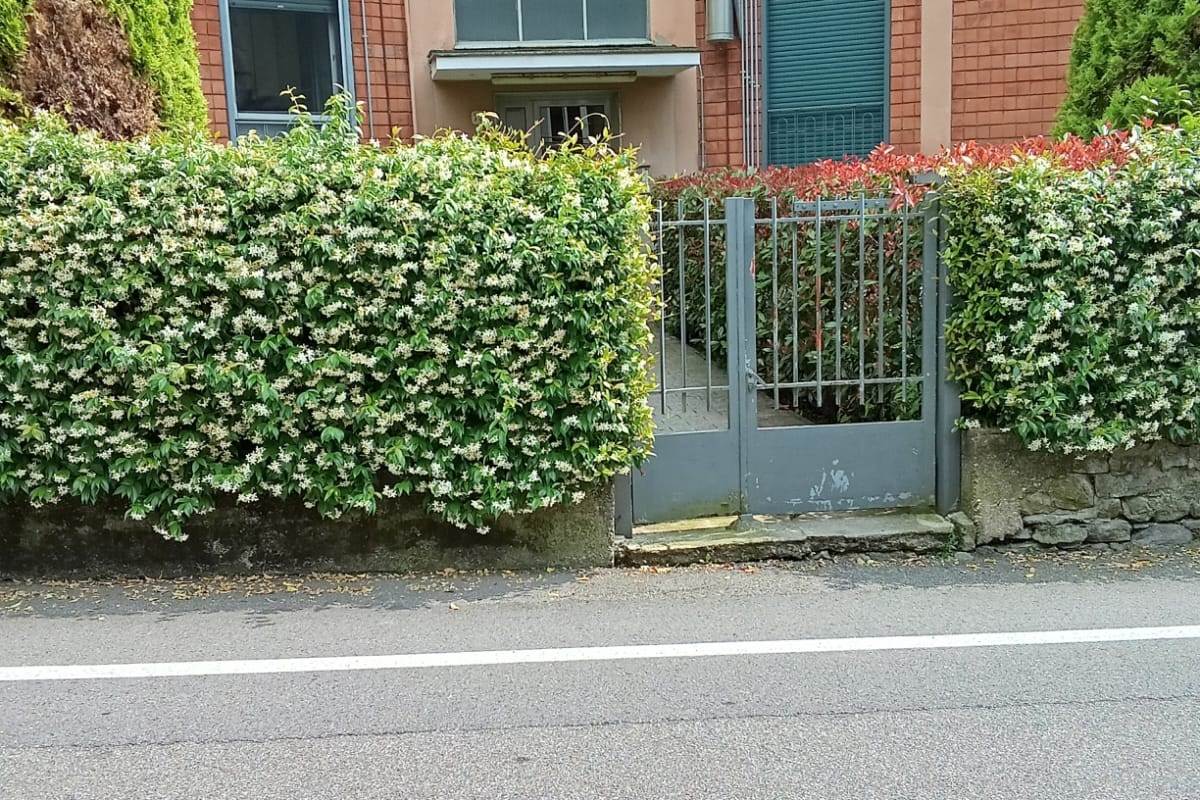 3 rooms Apartment in Maslianico, Italy No. 310183