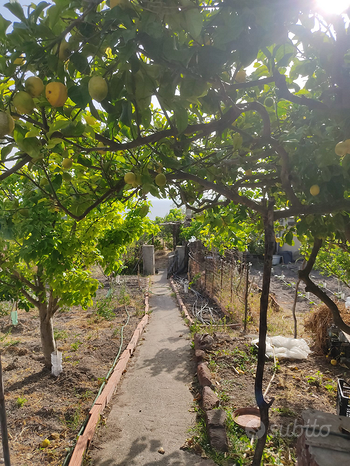 3500m² Land in Magomadas, Italy No. 273545