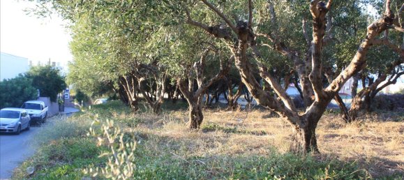 25000m² Hotel in Rethymno, Greece No. 5476 15