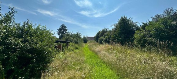 4 rooms House in Poysdorf, Austria No. 238402 20