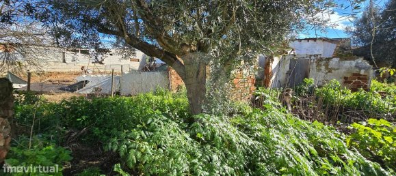 2 غرف نوم منزل في Abrantes, Portugal رقم 21926 7