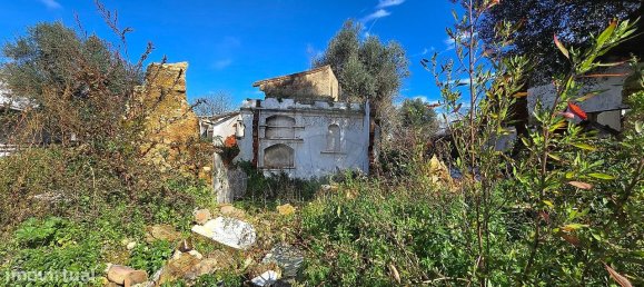 2 غرف نوم منزل في Abrantes, Portugal رقم 21926 4