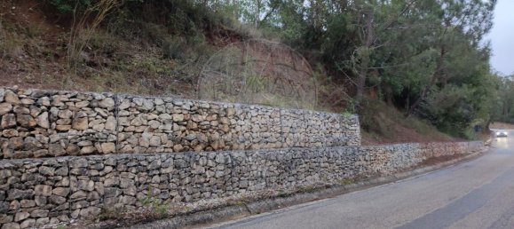 9240m² Land in Maiorga, Portugal No. 79652 3