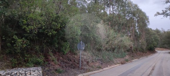 9240m² Land in Maiorga, Portugal No. 79652 2