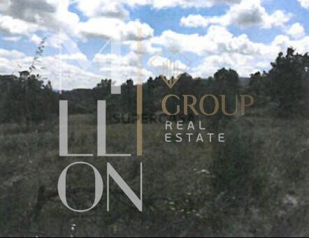 Grundstück in Figueiro da Granja, Portugal, Nr. 226611