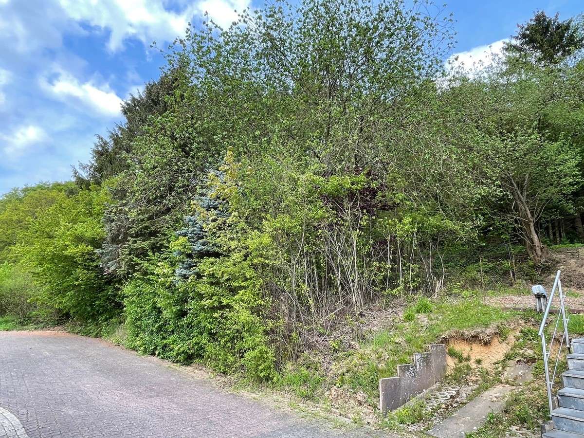  Land in Lippe, Germany No. 176896