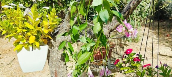  Land in Murcia, Spain No. 162039 5