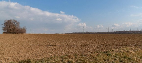 Terreno em Neusiedl am See, Austria N.º 66602 5