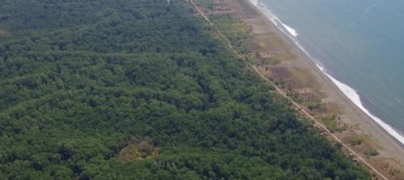 Terreno em Garabito, Costa Rica N.º 1958 3