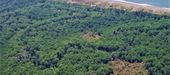 Terreno em Garabito, Costa Rica N.º 1958 5