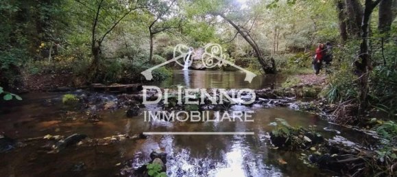 8 غرف نوم فيلا في Oriolo Romano, Italy رقم 332426 12