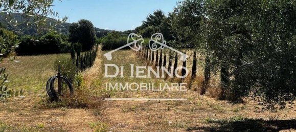 8 غرف نوم فيلا في Oriolo Romano, Italy رقم 332426 33