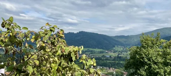 Таунхаус с 4 спальнями в Эммендинген, Германия № 69897 20