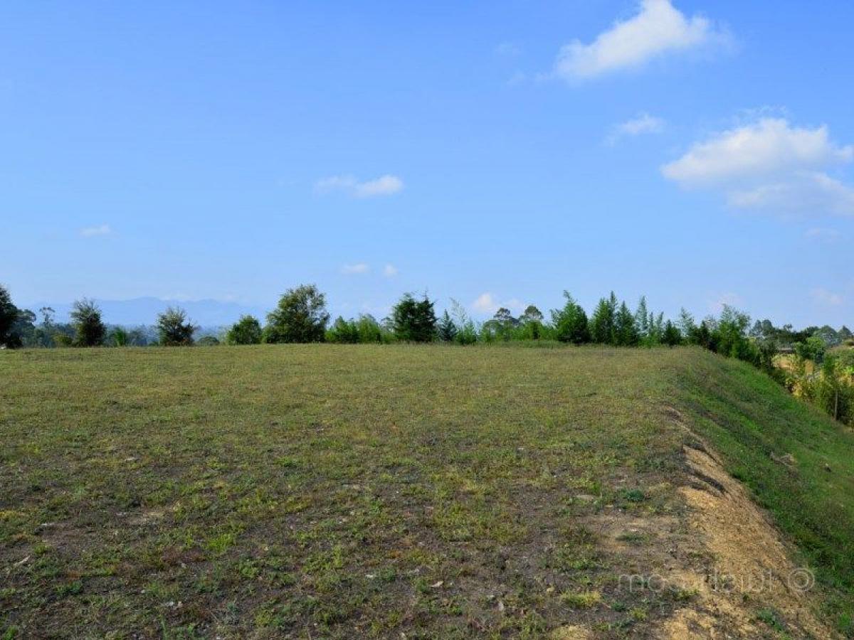  Land in Antioquia, Colombia No. 261