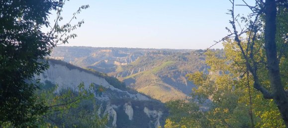 4 rooms House in Civitella d'Agliano, Italy No. 88755 19