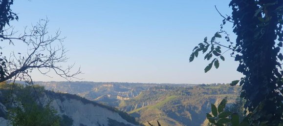 4 rooms House in Civitella d'Agliano, Italy No. 88755 22