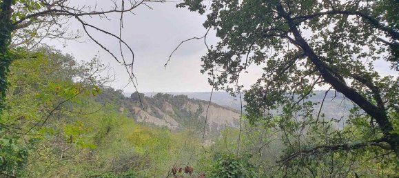 4 rooms House in Civitella d'Agliano, Italy No. 88755 11