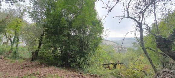 4 rooms House in Civitella d'Agliano, Italy No. 88755 8