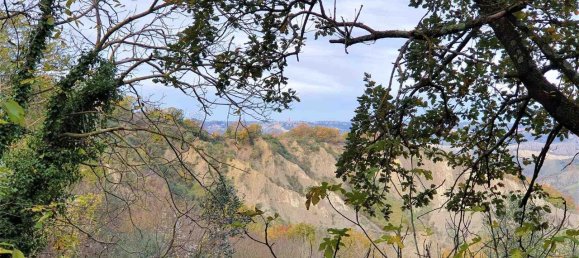 4 rooms House in Civitella d'Agliano, Italy No. 88755 7