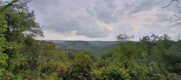 4 rooms House in Civitella d'Agliano, Italy No. 88755 16