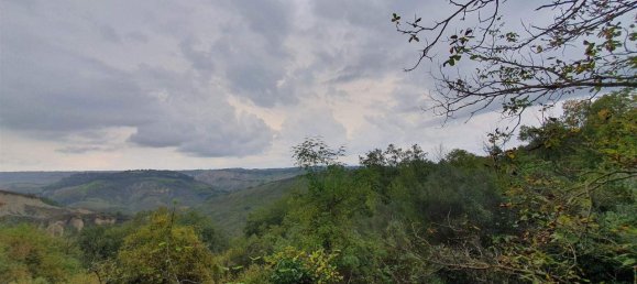 4 rooms House in Civitella d'Agliano, Italy No. 88755 17