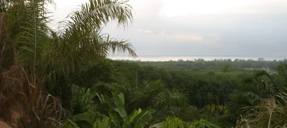 Terreno em Mai Khao, Thailand 8000 m² N.º 72087 7