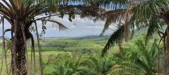 Terreno em Mai Khao, Thailand 8000 m² N.º 72087 6