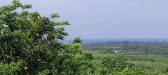 Terreno em Mai Khao, Thailand 8000 m² N.º 72087 17