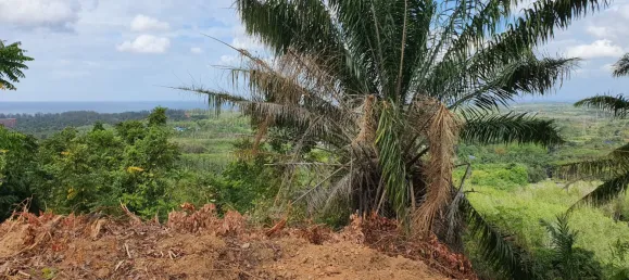 Terreno em Mai Khao, Thailand 8000 m² N.º 72087 5