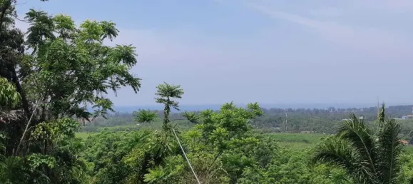 Terreno em Mai Khao, Thailand 8000 m² N.º 72087 18