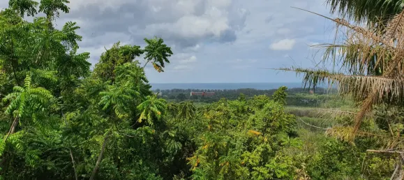 Terreno em Mai Khao, Thailand 8000 m² N.º 72087 4