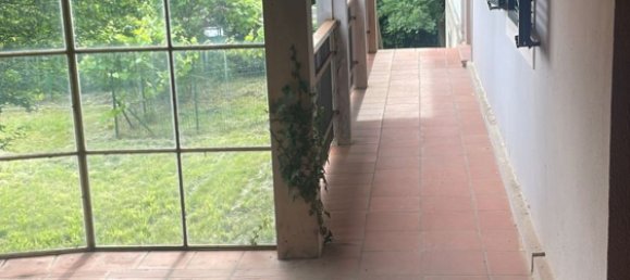 Studio in Trieste, Italy No. 254166 6