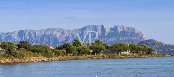 8 rooms Villa in Olbia, Italy No. 33688 7