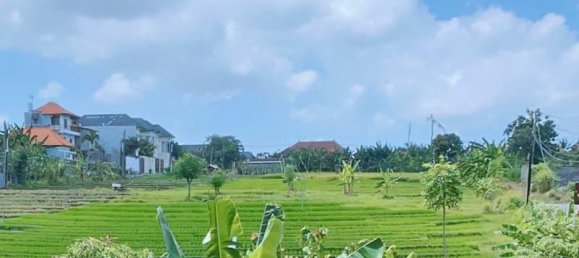 3 Schlafzimmer Villa in Tampaksiring, Indonesia, Nr. 4250 9