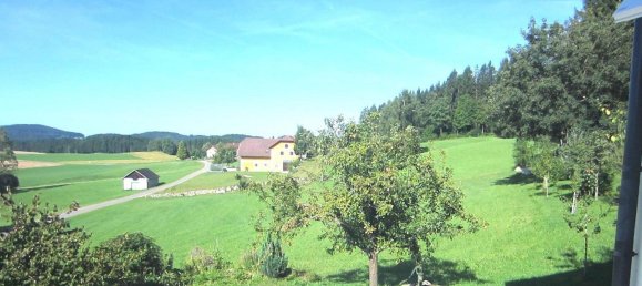 1 bedroom House in Konigswiesen, Austria No. 230157 11