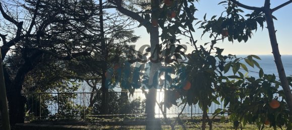 1545m² Land in Trieste, Italy No. 120220 5