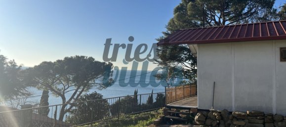 1545m² Land in Trieste, Italy No. 120220 8