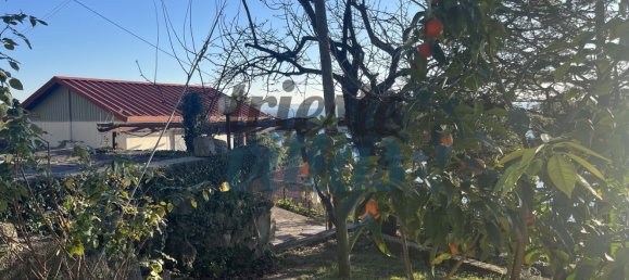 1545m² Land in Trieste, Italy No. 120220 6