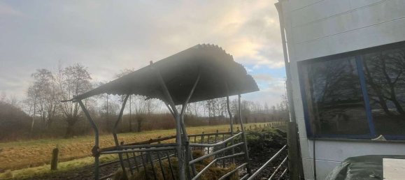 Entrepôt à Minden-Lubbecke, Germany 2400m² No. 281991 7