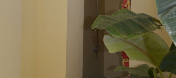 5 غرف نوم منزل في Chania, Greece رقم 77716 11
